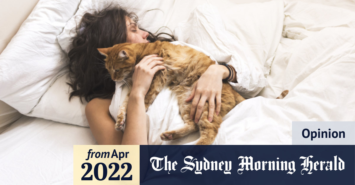 Why does my cat wake me up so early, and what can I do about it?